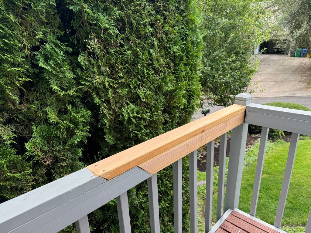 Deck Repair